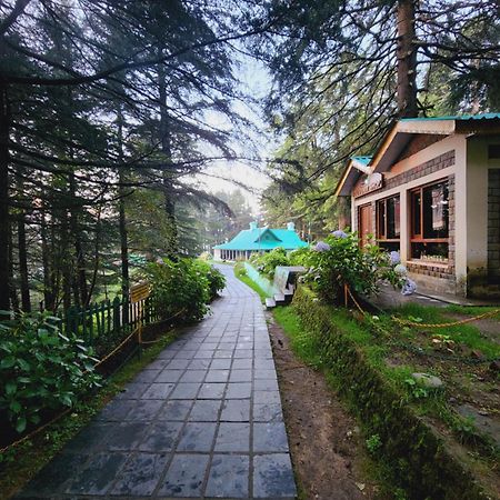 Forest Vibes Kalatop-Rooms And Restaurant Dalhousie Εξωτερικό φωτογραφία