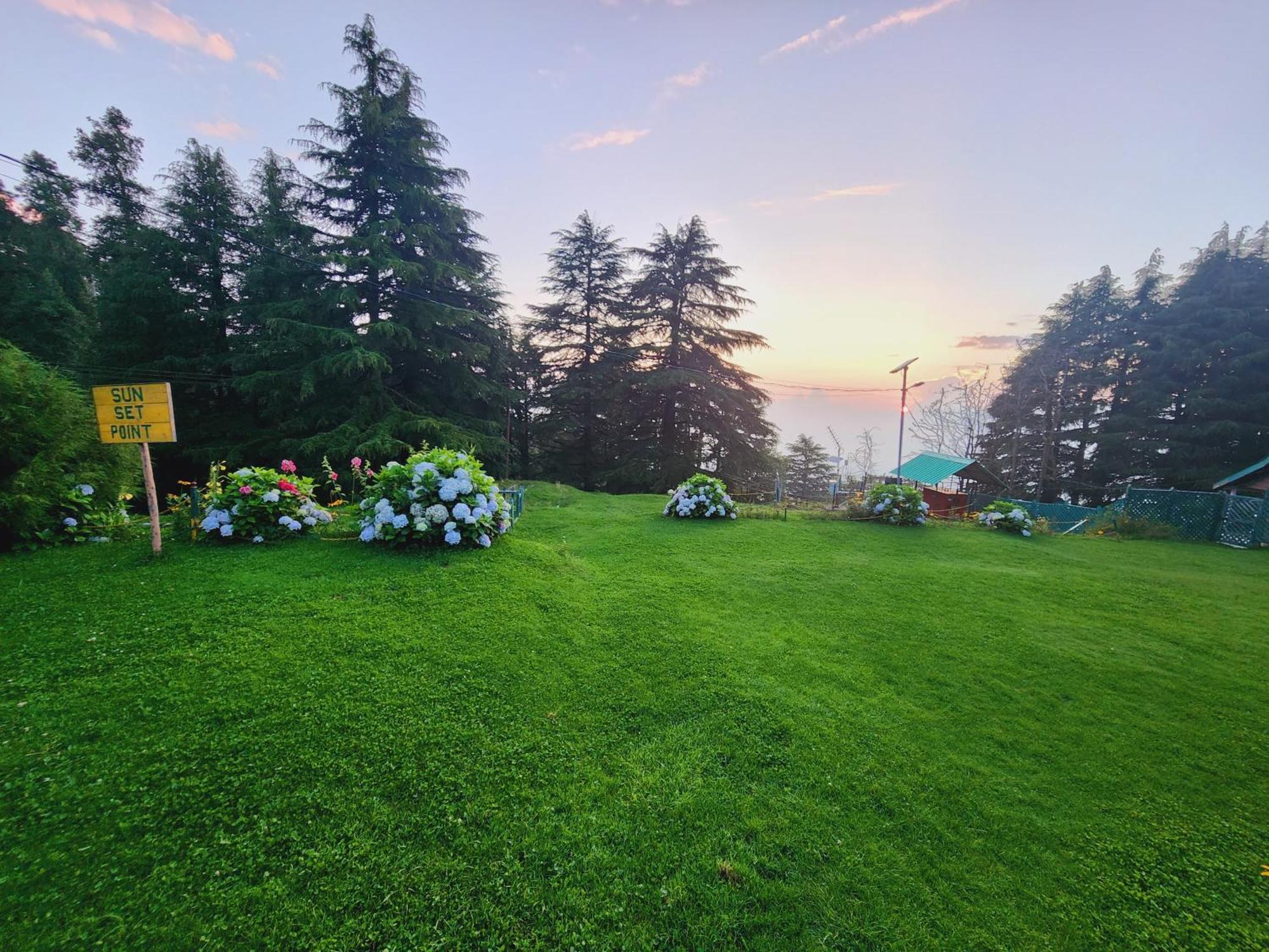 Forest Vibes Kalatop-Rooms And Restaurant Dalhousie Εξωτερικό φωτογραφία