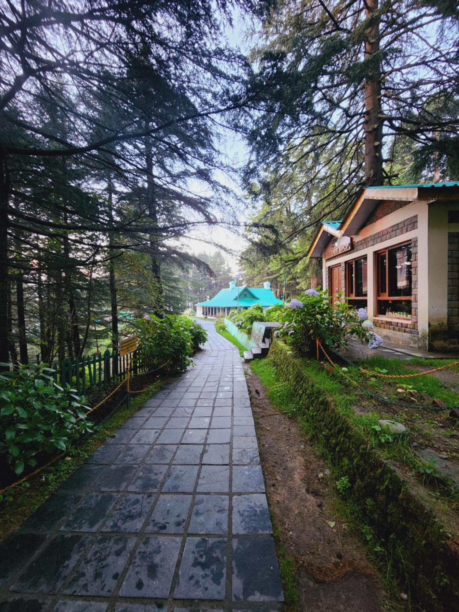 Forest Vibes Kalatop-Rooms And Restaurant Dalhousie Εξωτερικό φωτογραφία